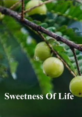 Sweetness Of Life