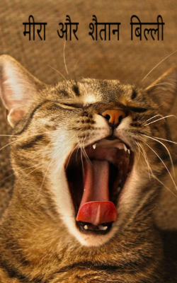 मीरा और शैतान बिल्ली