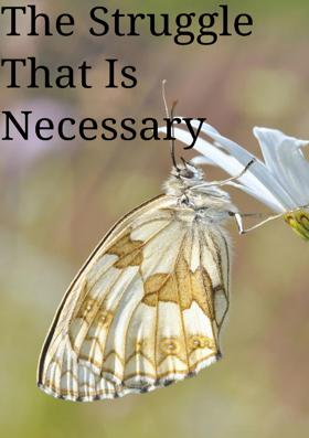 The Struggle That Is Necessary