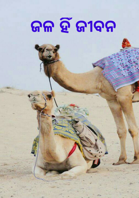 होळी रंगाची...