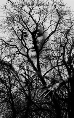 Magazines Circulated in India