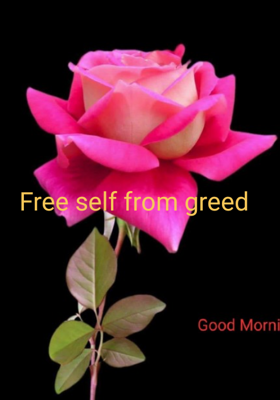 Free self from greed