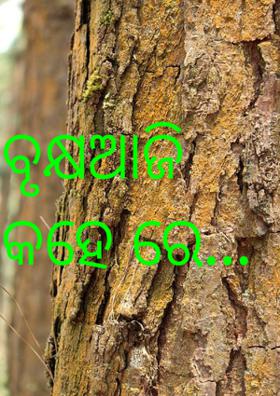 ବୃକ୍ଷଆଜି କହେରେ