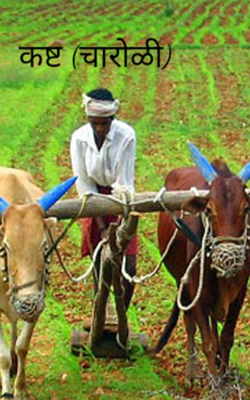 कष्ट (चारोळी)