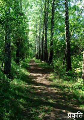 प्रकृति