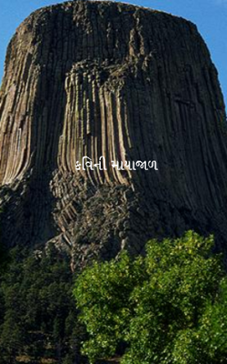 કવિની માયાજાળ