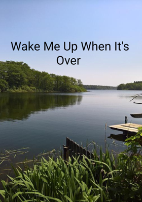 Wake Me Up When It's Over