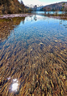 ଉଛୁଳା ନଈ 