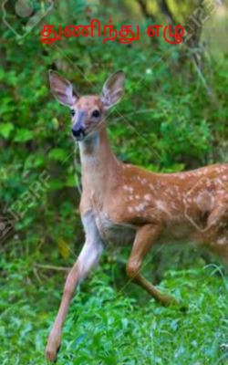 துணிந்து எழு
