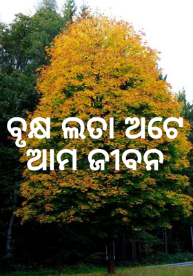 ବୃକ୍ଷ ଲତା ଅଟେ ଆମ ଜୀବନ