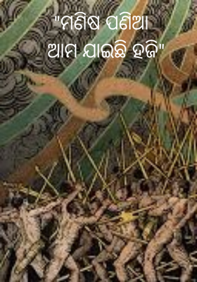 ମଣିଷପଣିଆ ଆମ ଯାଇଛି ହଜି