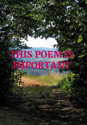 This Poem Is Important