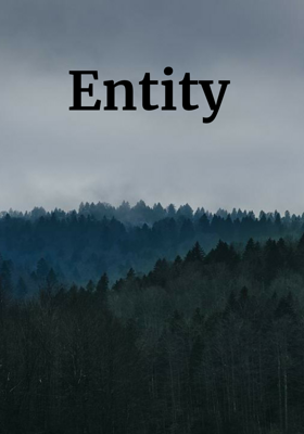 Entity