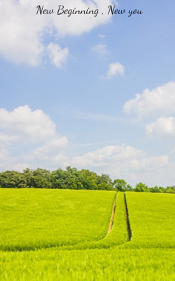 New Beginning , New you