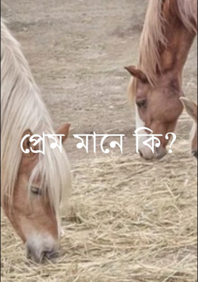 প্রেম মানে কি