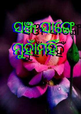 ସଞ୍ଜ ସାଙ୍ଗେ ମୁହାଁମହିଁ