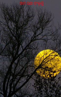 ଆମ ପଣା ସଂକ୍ରାନ୍ତି