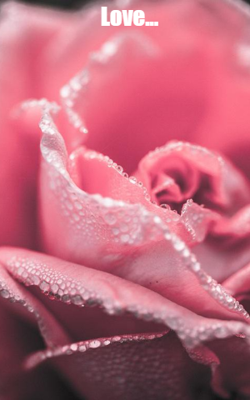 Love...