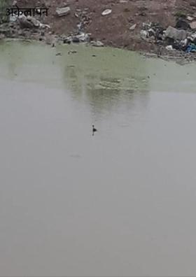 अकेलापन