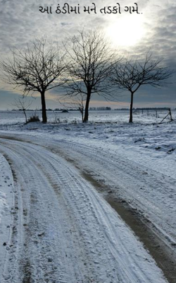 આ ઠંડીમાં મને તડકો ગમે
