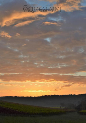 ନିୟମରେ ବନ୍ଧା 