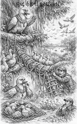 વૃદ્ધ હંસની દૂરદર્શિતા