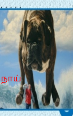 நாய்