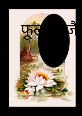 फूल के जैसे