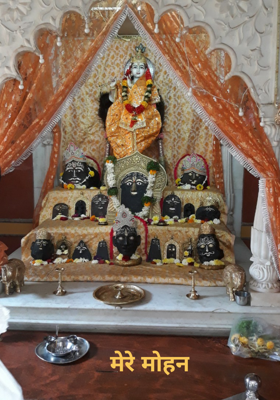 मेरे मोहन