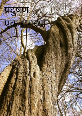 प्रदुषण एक समस्या