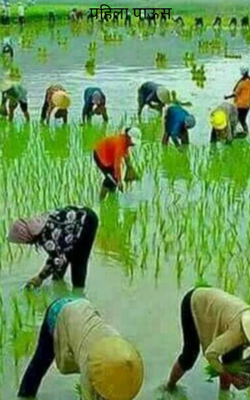 पहिला पाऊस