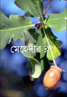 মেহেন্দির রং