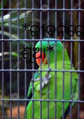 ଜୀବନରେ କେବେ ନହେବ ଶୁଆ