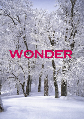 Wonder