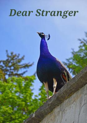 Dear Stranger