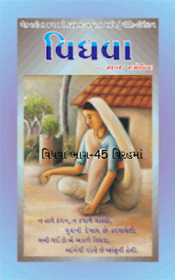 વિધવા ભાગ-45 વિરહમાં