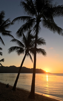 फिरसे बहार आयेगी