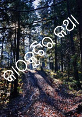 କାଠକୁଟିର କଥା