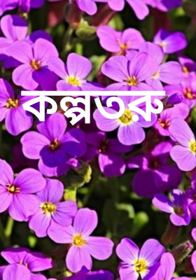 কল্পতরু