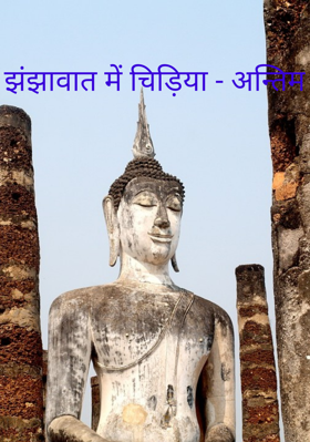 झंझावात में चिड़िया - अन्तिम