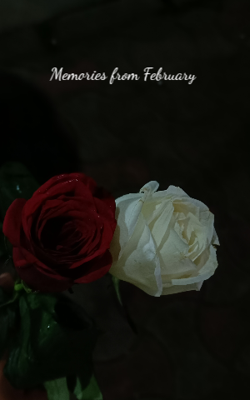 Memories from February