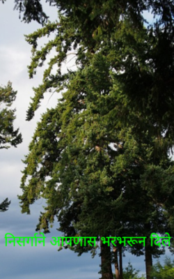 निसर्गाने आपणास भरभरून दिले