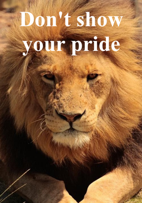 Don't Show Your Pride