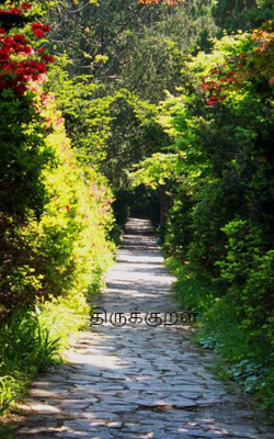 திருக்குறள்