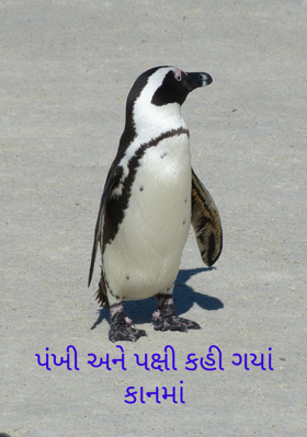 પંખી અને પક્ષી કહી ગયાં કાનમાં