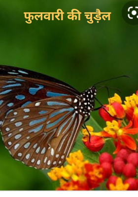 फुलवारी की चुड़ैल