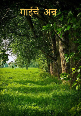 गाईचे अन्न