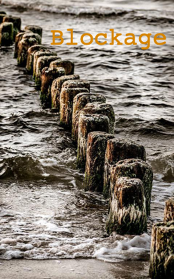 Blockage