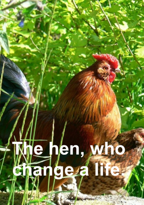 The hen, who change a life.
