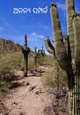 ଅନନ୍ୟ ସମ୍ପର୍କ